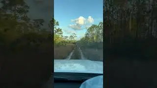 Off-road - beach Drive ! #offroad #beachdrive #alabama #gulfshores #4runner #toyota #football