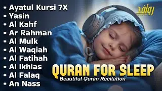 Beautiful Quran Recitation - Ayatul Kursi, Yasin, Al Waqiah, Ar Rahman, Al Kahfi I Alaa Aqel