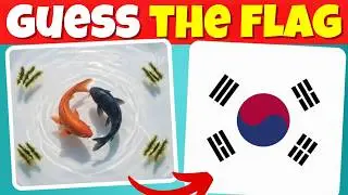 Guess the Hidden FLAG by ILLUSION | Flag Quiz Trivia