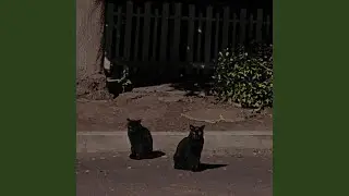it just happened to happen, what happend?