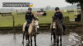 Voor het eerst CROSSEN met 3 JONGE PONY'S! 😱 || Kim Dior