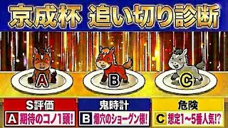 【京成杯 2026 最終追い切り診断】【S評価】 レースを使って上積み大のコノ1頭！【危険かも⁉】下降気味の人気馬は⁉