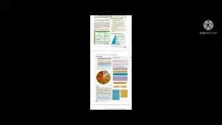 ca foundation principles and practice of accounting notes