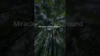 I Release Control