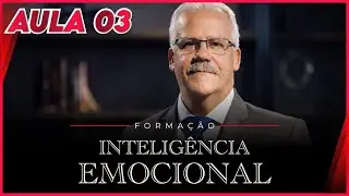 Aula 03 - Formação Inteligência Emocional
