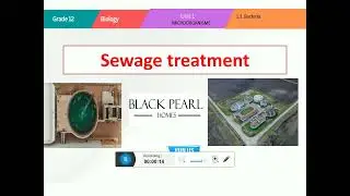 G-12 Biology UNIT 1 Sewage Treatment Explained: Percolating Filter & Activated Sludge Methods