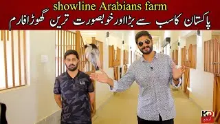 The Show line Arabians Horse Farm Pakistan || Most Beautiful Horse Stable || خوبصورت گھوڑافارم