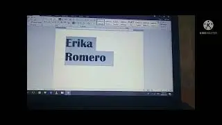MS Word Vlog