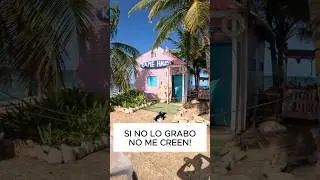 La casa del Maestro Roshi en la VIDA REAL #dragonball #dragonballz #goku