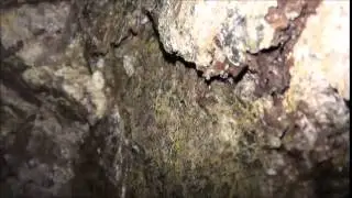 Historic Premier Mine 20 66 Acre Lode Mining Claim in the Famous Comstock Lode Mining District Near