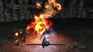 DARK SOULS II - FORBIDDEN SUN DESTROYS DARKLURKER (SOLO, NG+7, NO DAMAGE)