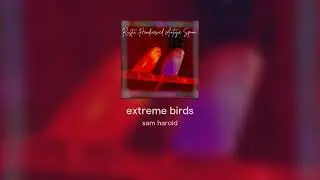 extreme birds