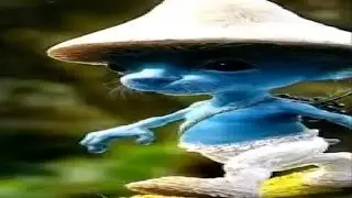 ￼smurf cat