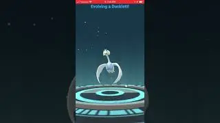 Evolving this Ducklett into a Swanna!!
