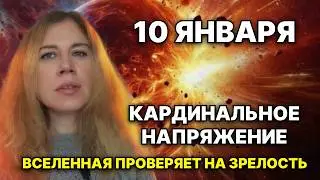 10 января 2026 &mdash; день, когда выбор фиксирует судьбу