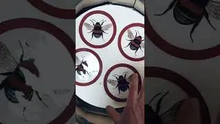 How to apply silver stain to glass.