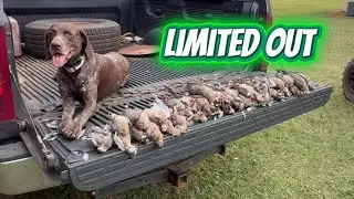 GEORGIA DOVE SEASON OPENER 2025!!! (CATCH,CLEAN,COOK)