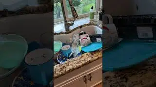 Part 2 clean with adhd! #adhd #cleantok #kitchen #cleanwithme #cleaning #youtubeshorts