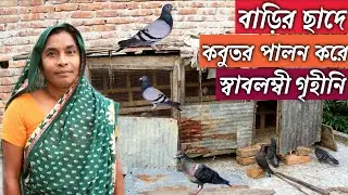 করোনায় বাড়ির ছাদে দেশি কবুতর পালন করে সংসারের হাল  ধরেছেন গৃহীনি । দেশি কবুতর পালন পদ্ধতি । kobutor