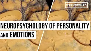 Neuropsychology of Personality and Emotion (Video N&ordm;13, Series #2)