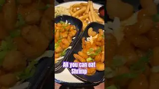 Endless Shrimp #redlobster #ayce #seafood #shrimp #buffet #gorengan #makansepuasnya #eating #shorts