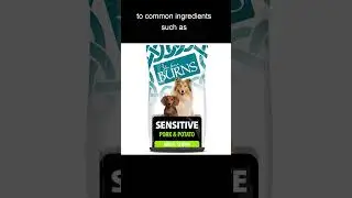 Burns Pet Nutrition Hypoallergenic Complete Dry Dog Food Adult and Senior Dog Sensitive