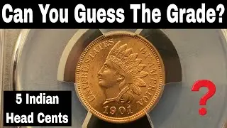 Graded Indian Head Cents - Can You Guess the Grades?
