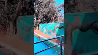Pool cafe in Majnu ka Tila❤️ Must try! #delhi #majnukatila #pool #cafe #explore