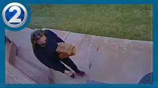 Tips against retail theft, porch pirates during holiday shopping