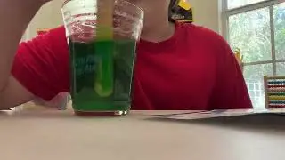 Growing another green crystal from the NatGeo mega crystal growing lab 🥼🔮