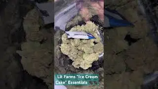 This Lit Farms Ice Cream Cake Essentials is BEAUTIFUL 😻 #shorts