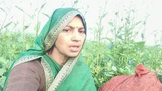 #नाच गीत₹बहुत सुंदर नाच गीत है प्लीज आप सभी जरूर देखें औरला इक करें