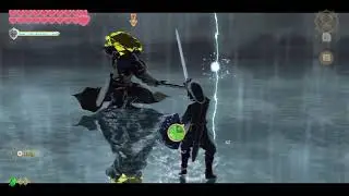 Vs Demise (Zelda SSHD Final Boss - No Damage)