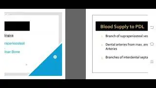 BLOOD AND NERVE SUPPLY TO THE PERIODONTIUM..