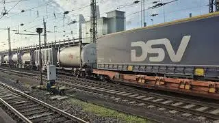 SBB Cargo Re 474 012, Basel Bad Bf,  05.12.24