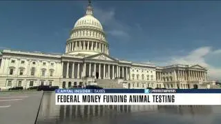 Uncovering taxpayer waste