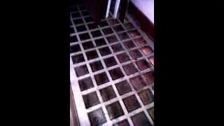 Glass Hallway