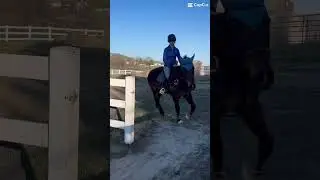 #equestrian #horse #horseriding #equestrianworld