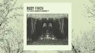 Rosy Finch - Surnia Ulula (Acoustic)