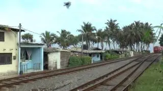 SRI LANKA RAILWAY COLOMBO SEPT 2014