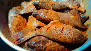 Hyderabad Street food | Delicious Fish Fry in telugu @ 20 Rs Only Near Gandipet | Indian Street food