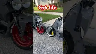 #ruckus #honda #ruckus #scooter #gy6 #zoomer