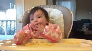 Baby Led Weaning (BLW) - Day 66 - Mac and Cheese (7m4w1d)