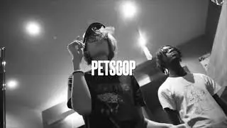SERANE x KASPER 939 x CASHCACHE Type Beat | Dreamy Plugg Beat - PETSCOP (prod.tchouma)