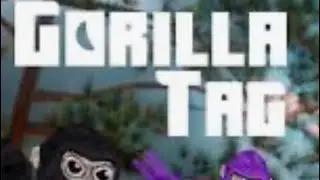 First vr experience.gorilla tag