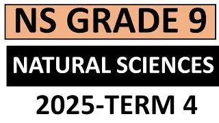 NATURAL SCIENCES GRADE 9 MEMO THUNDEREDUC 2025 EXAM TERM 4 EXAM NATURAL SCIENCES GRADE 9 NOVEMBER EX