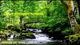 Cazare Buciumi, Maramures - Cazat.ro