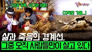 [수요기획] 지독한 가뭄으로 삶과 죽음의 경계선에 있는 곳, 고비사막. 가뭄으로 점차 소멸해가는 이곳에서 파산 직전까지 갔던 유목민들의 고충은 무엇일까ㅣKBS 2006.07.12