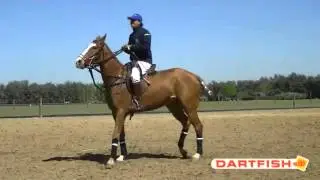 Turning your horse