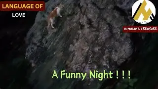 Funny Night of Coco & Angata in the Lush Green Jungle